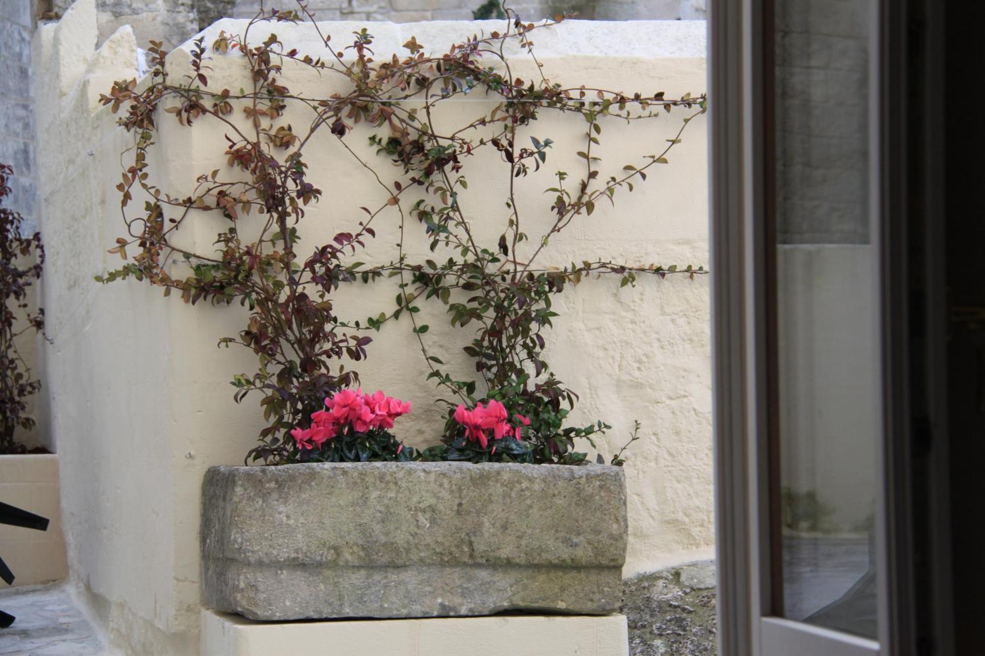 Alla Dimora Di Chiara Suite And Rooms Matera Pokój zdjęcie